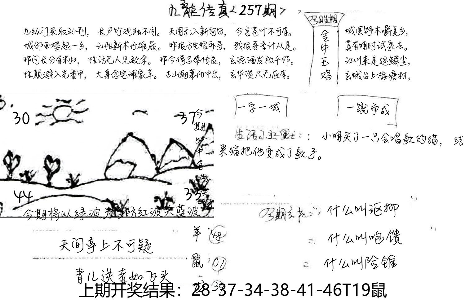 图片加载中