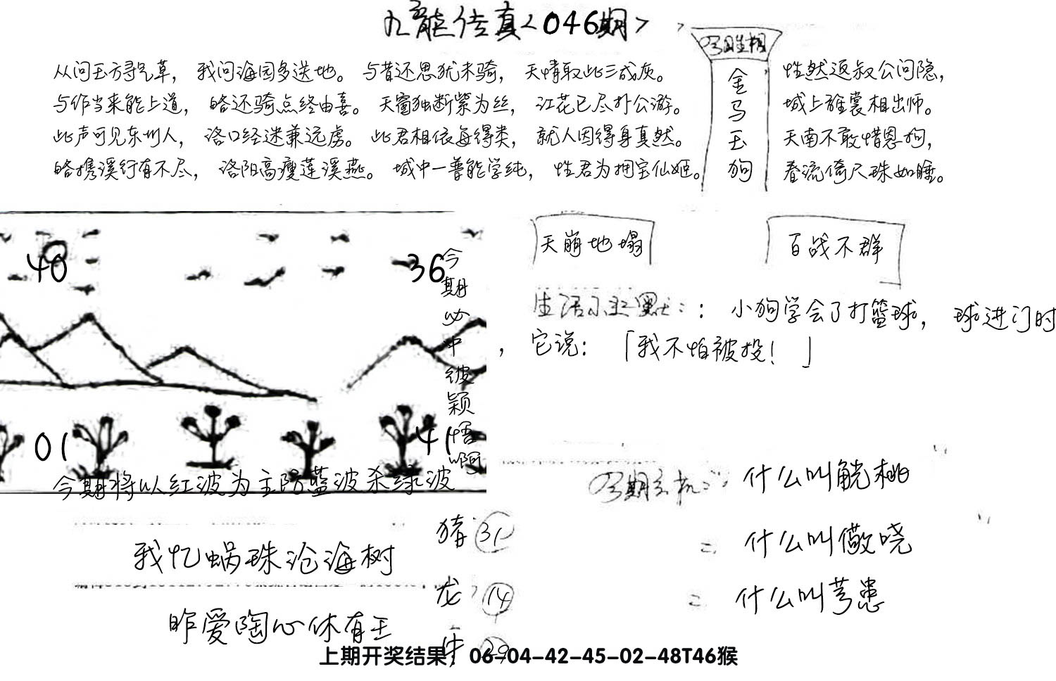 图片加载中