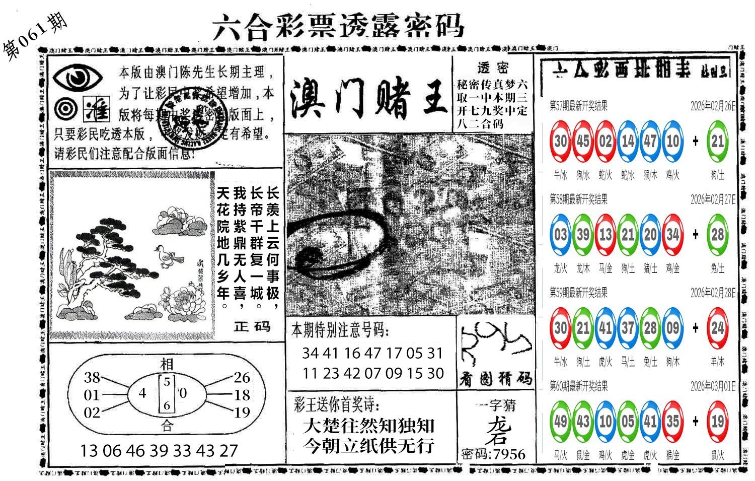图片加载中