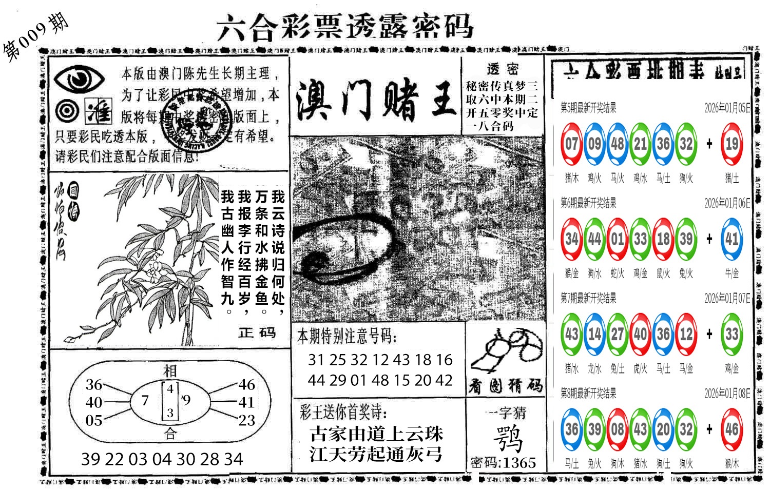 图片加载中