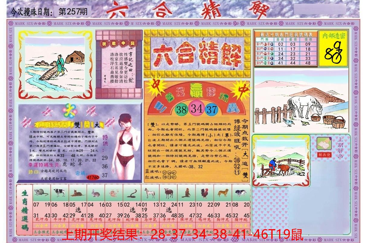 图片加载中