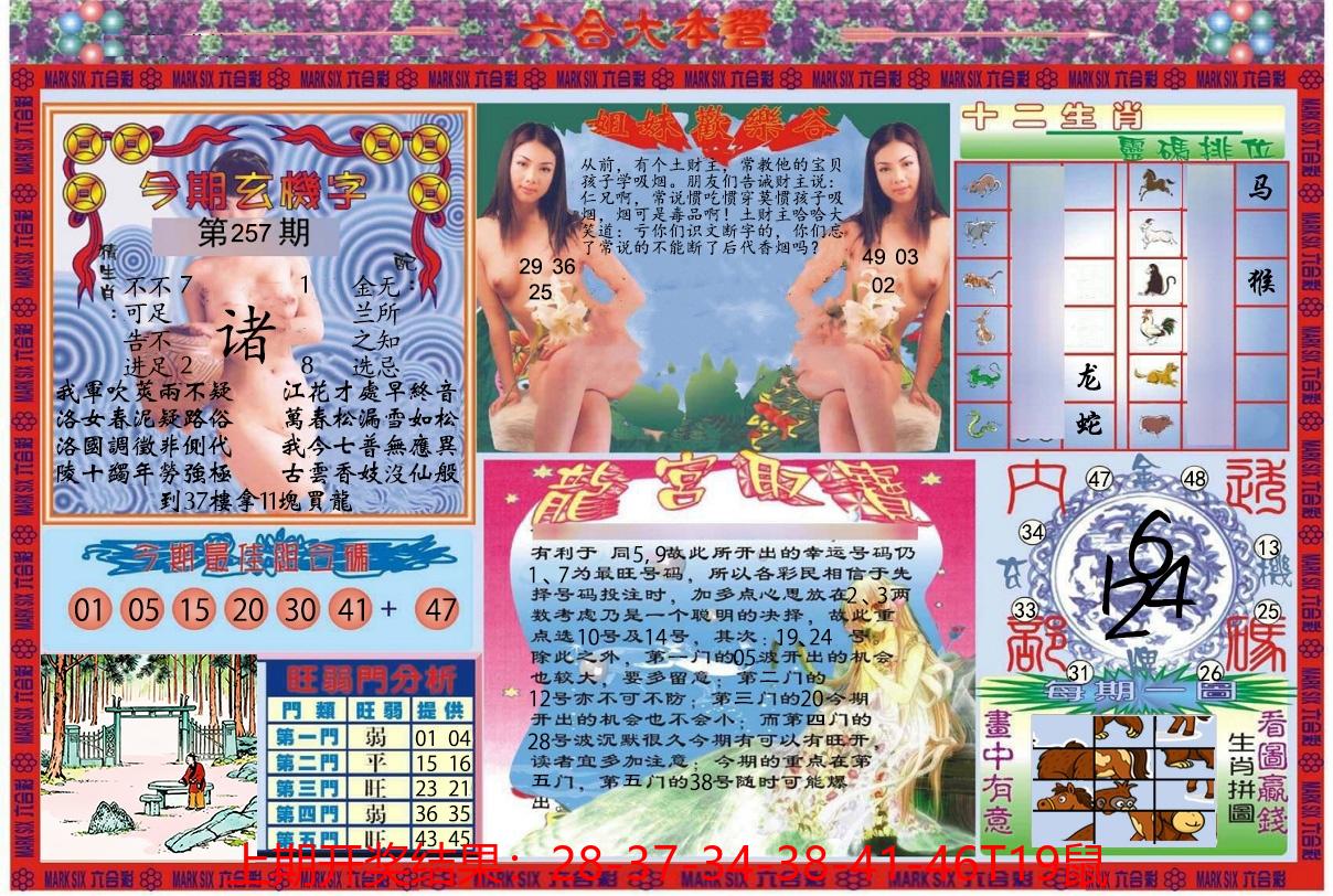 图片加载中