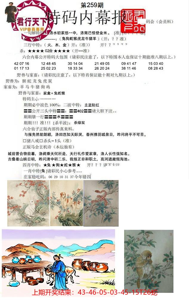 图片加载中