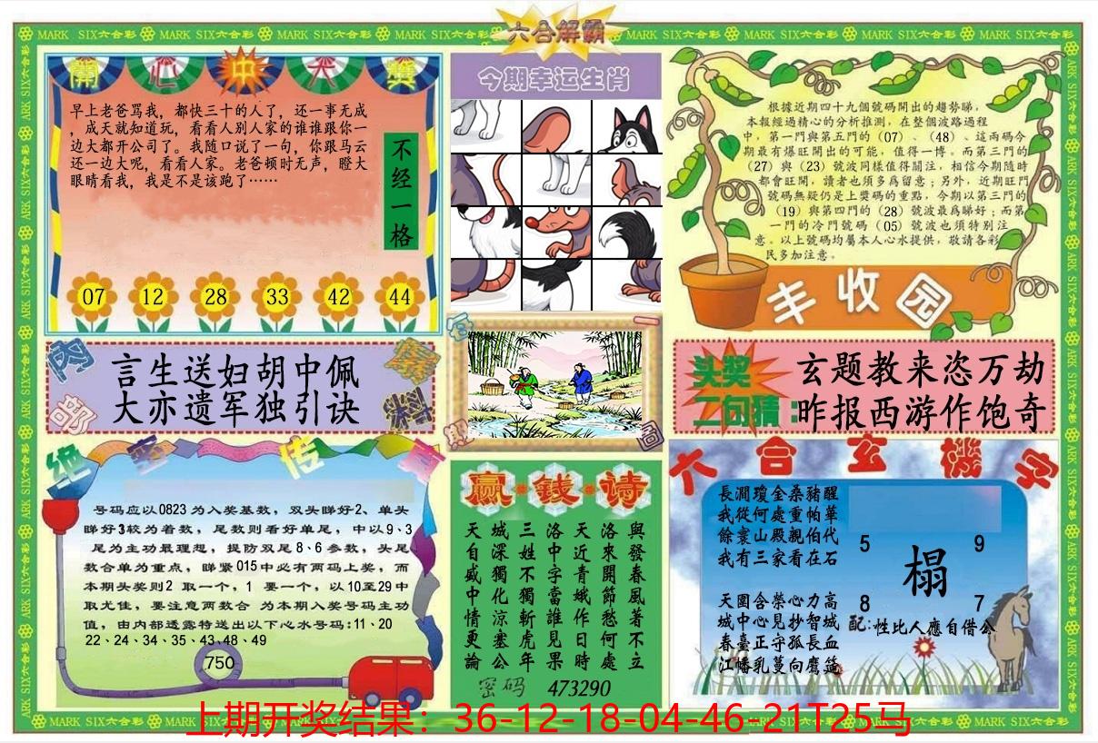 图片加载中