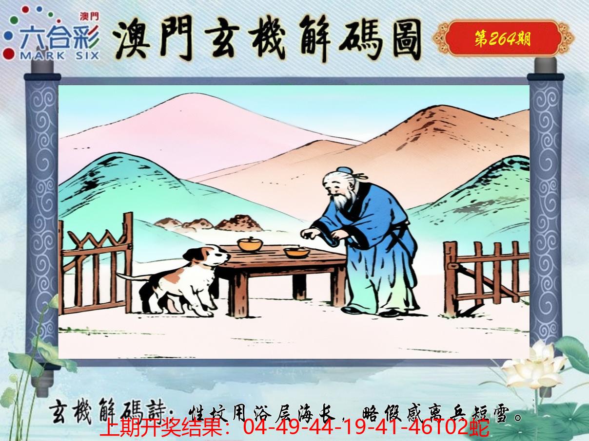 图片加载中