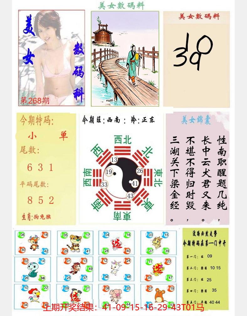 图片加载中