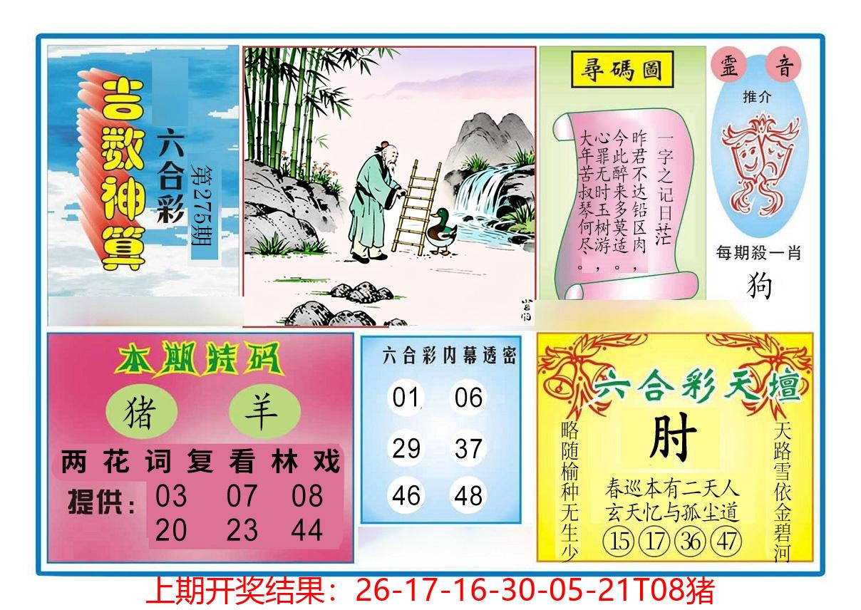 图片加载中