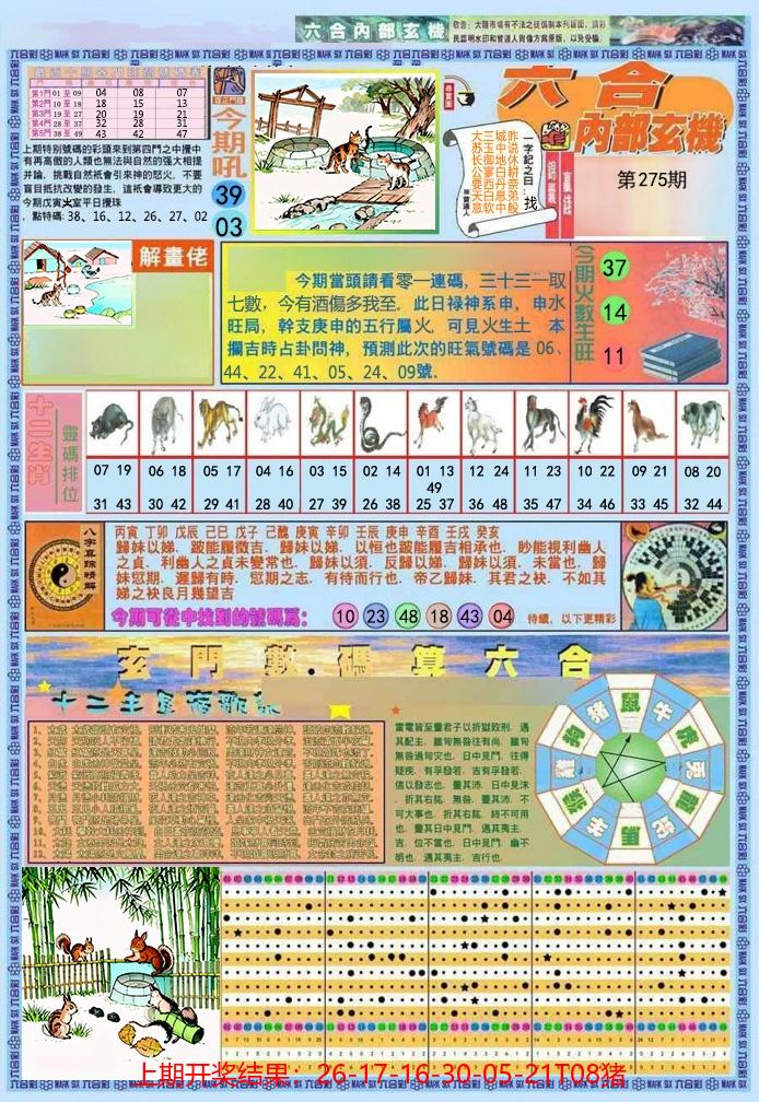 图片加载中